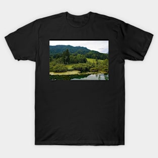 Zelenci Nature Reserve, Slovenia T-Shirt